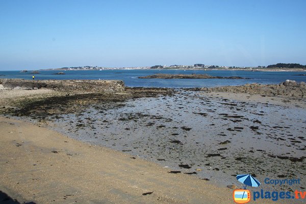 Grève de la station biologique de Roscoff en Bretagne