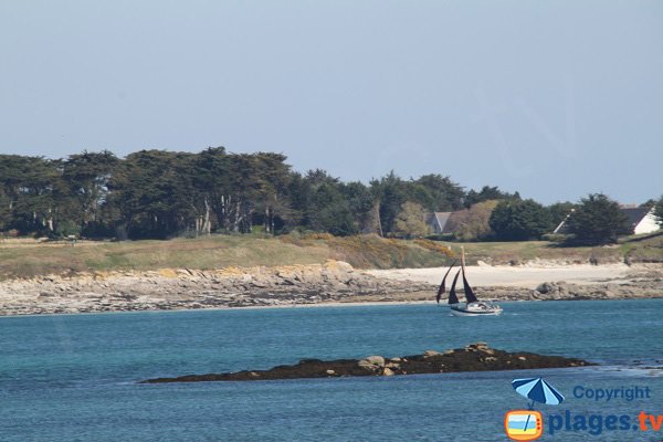 Island of Batz from the beach of Roscoff - biological station