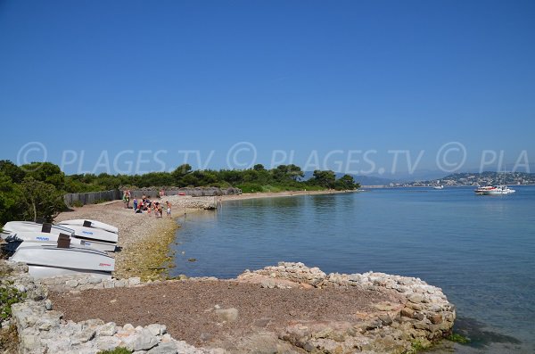 Plage de l'ile de Lérins au niveau du centre nautique