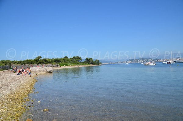 Plage de galets sur les Iles de Lérins - Ste Marguerite