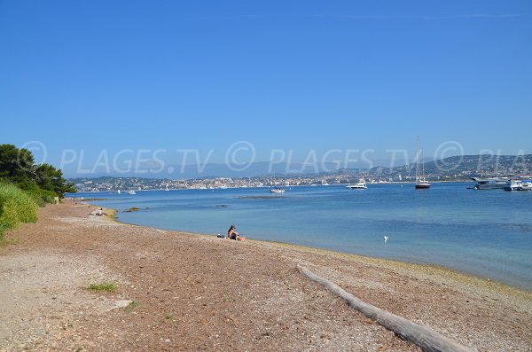 Plage sur les Iles de Lérins avec vue sur Cannes