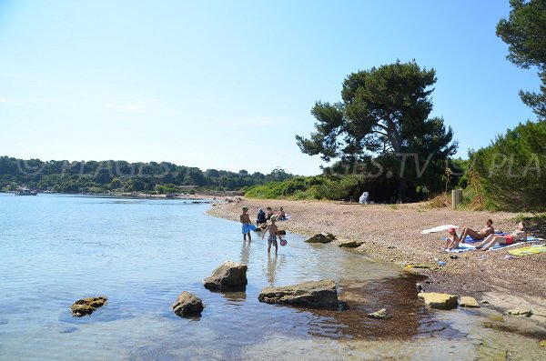 Photo of Sainte Anne beach - Sainte Marguerite island - Cannes