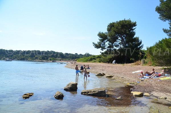 Photo de la plage de Sainte Anne sur l'Ile de Sainte Marguerite - Cannes