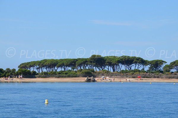 Plage de Sainte Anne sur l'île de Lérins de Sainte Marguerite