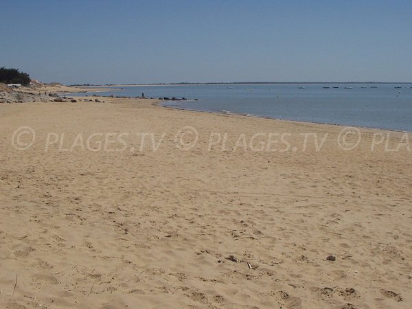 Plage de Ste Anne à La Tranche avec vue sur La Faute