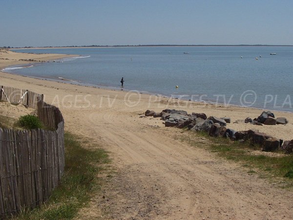 Access to Ste Anne beach in La Tranche sur Mer in Vendée in France