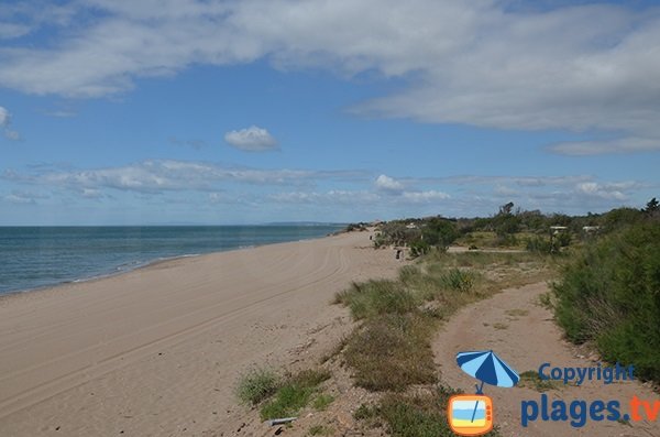 Abord de la plage de Sainte Genevieve à Vias