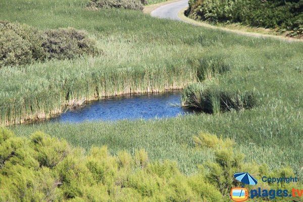 Ponds near the beach of Ster Vraz in Sauzon