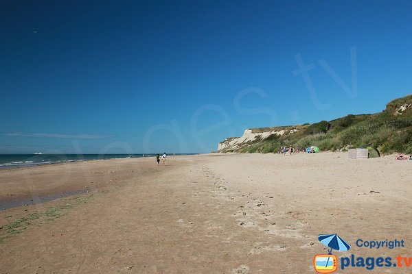 Plage sauvage à Wissant