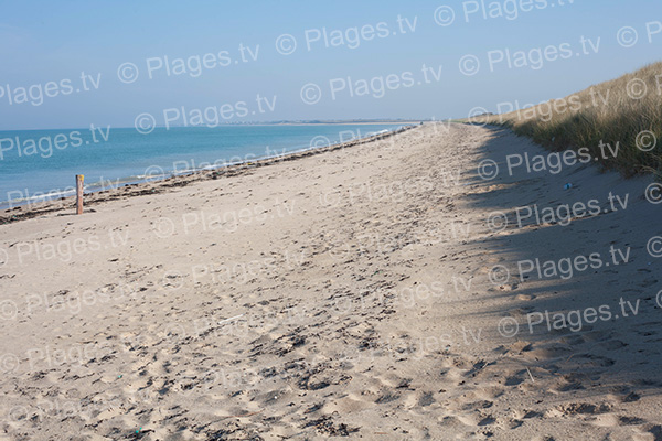 Vue droite de la plage sud d'Anneville-sur-Mer