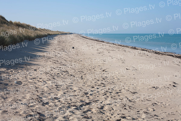 Vue gauche de la plage sud d'Anneville-sur-Mer