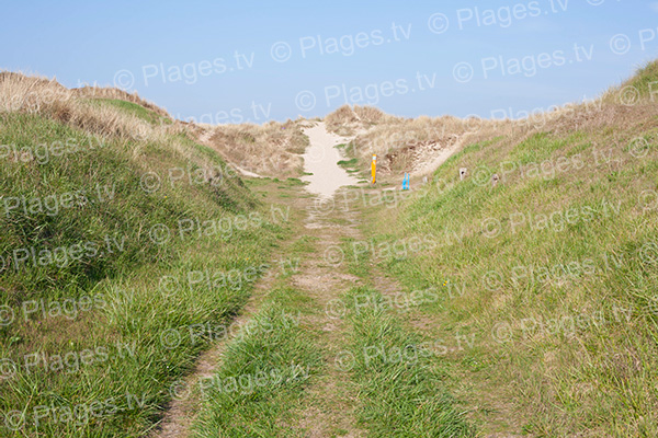 dunes de la plage sud Anneville-sur-Mer