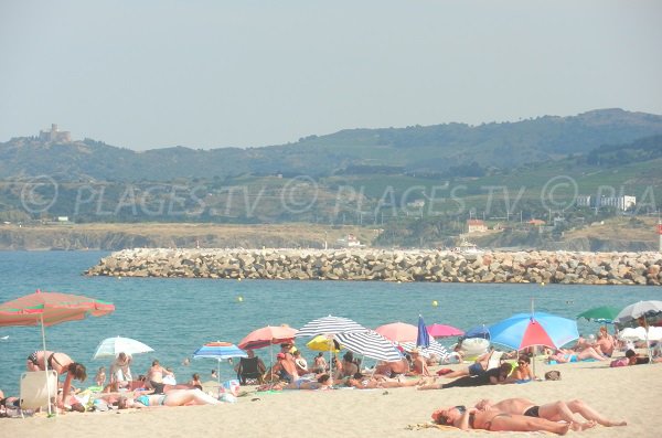 Strand neben dem Hafen von Argelès in der Nähe des Stadtzentrums