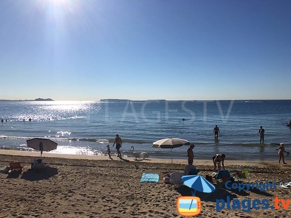 Plage de Cannes la Bocca avec vue sur les iles de Lérins