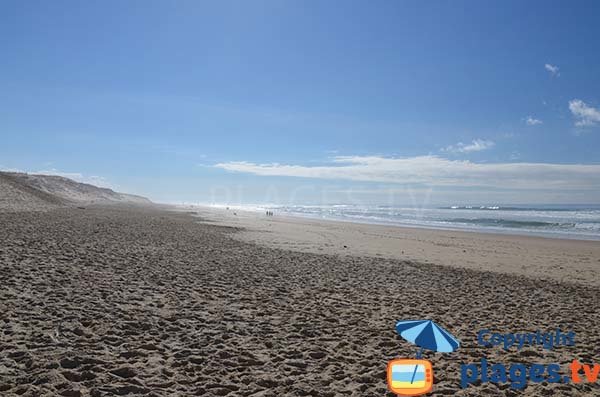 Beach in Biscarrosse in summer