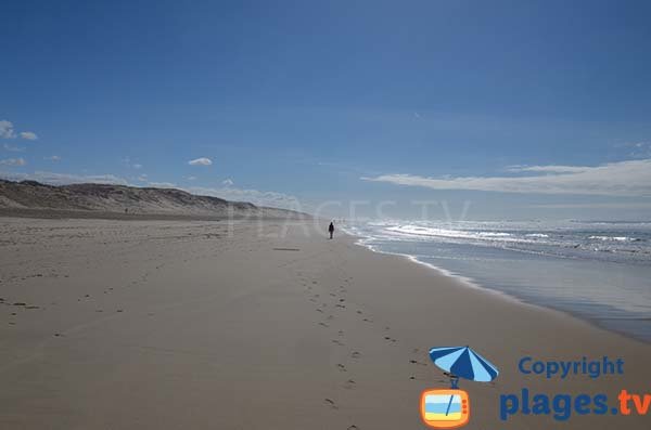 Plage au sud de Biscarrosse