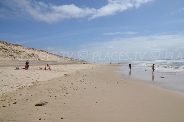 Spiaggia e dune a  Carcans in Francia