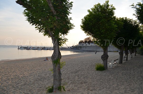 Ombra della spiaggia sud di Fouras