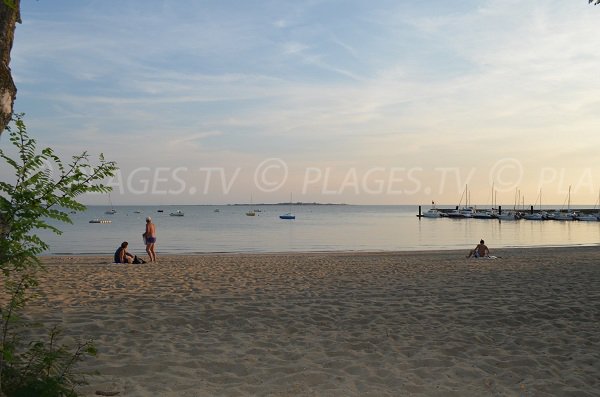 Madame Island is in front of the south beach of Fouras