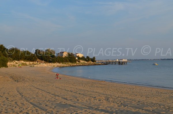 Plage de l'anse de Coué à Fouras