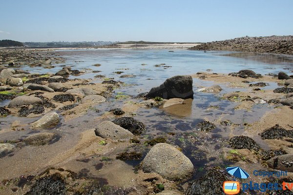 Gué entre l'ile Grande et l'ile d'Aganton à Pleumeur Bodou