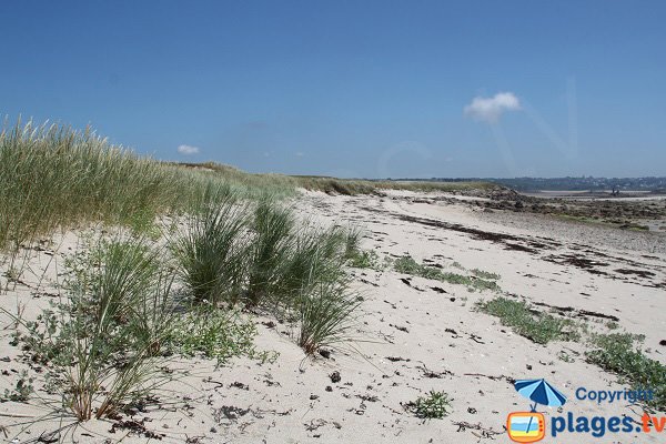 Plage sauvage sur l'ile d'Aganton