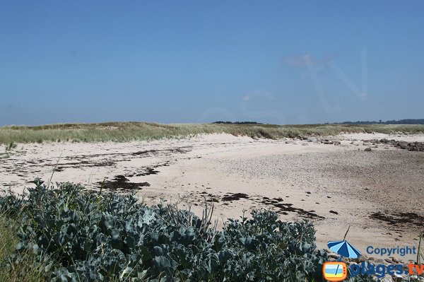 Photo de la plage au sud de l'ile d'Aganton - Bretagne