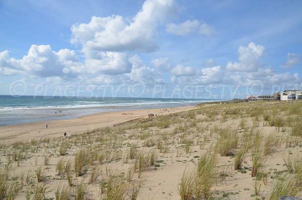 Plage Sud avec vue sur Lacanau-Océan