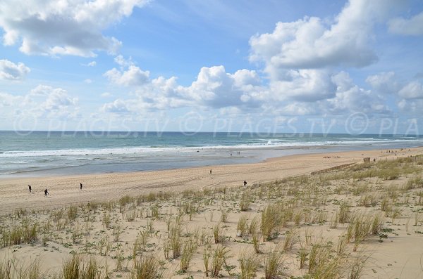 South beach in Lacanau in France