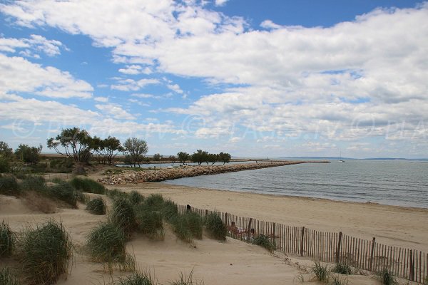 Spiaggia e canale della Marina di Port Camargue