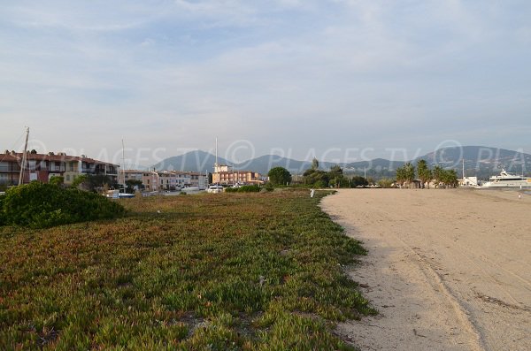 Environnement de la plage sud de Port Grimaud