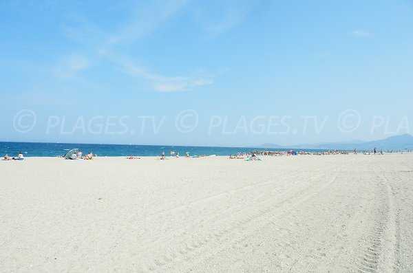 Foto della spiaggia Sud a St Cyprien - Francia