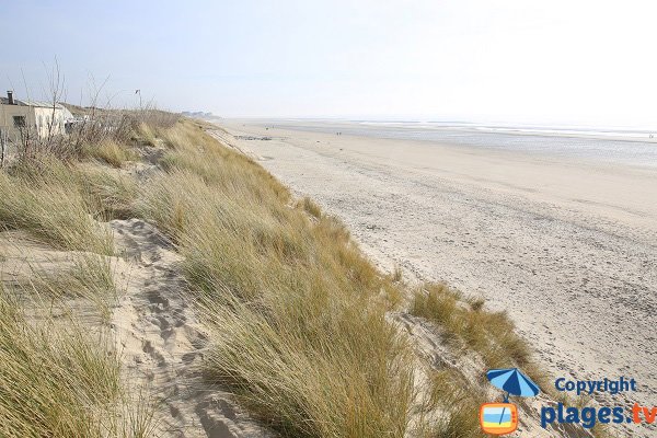 Photo de la plage sud de Stella