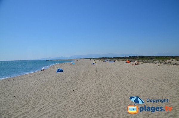 Nudist beach in Torreilles in France