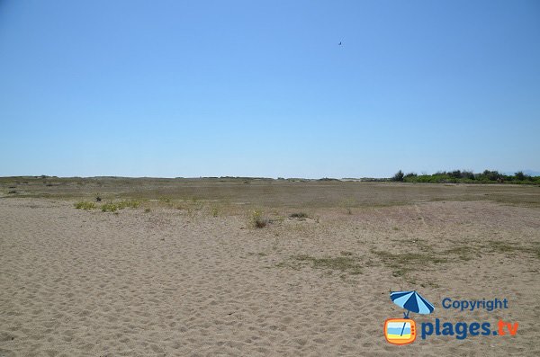 Environment of Torreilles Beach