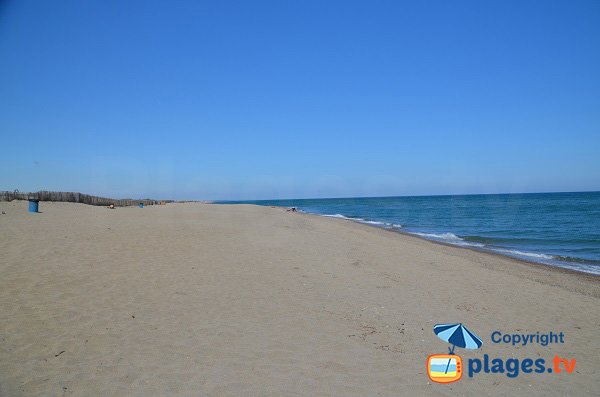 Foto della spiaggia sud di Torreilles - Francia