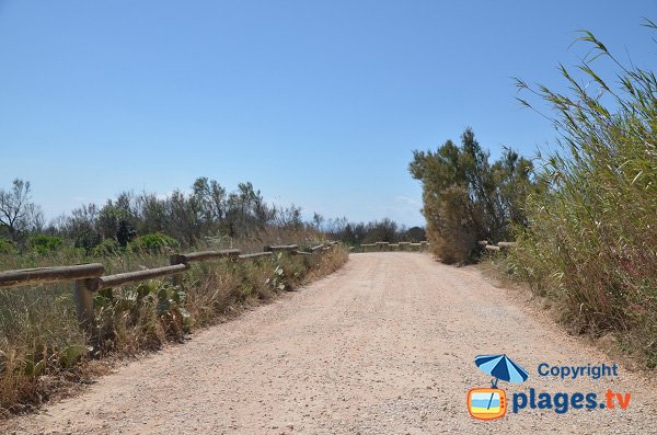 Route d'accès à la plage sud de Torreilles