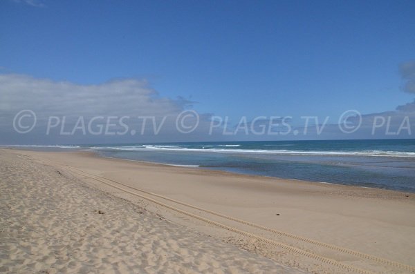 Wild beach in Lacanau in France