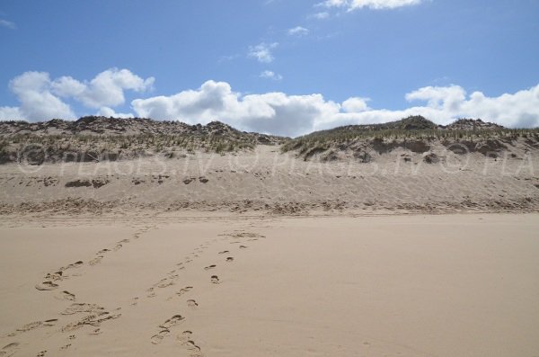 Sentier à travers les dunes pour accéder à la plage de Super Sud de Lacanau