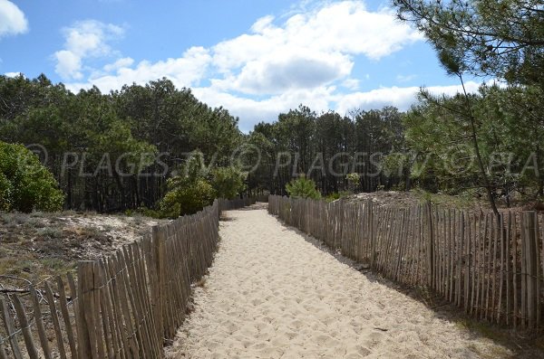 sentiero per accedere alla spiaggia Super Sud di Lacanau