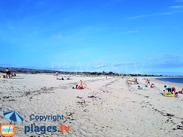 Laisse de mer sur la plage de Sarzeau - Suscinio