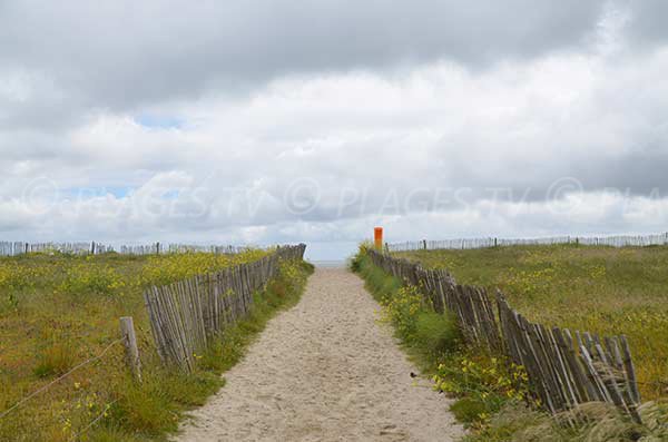 Sentier d'accès à la plage de Suscinio