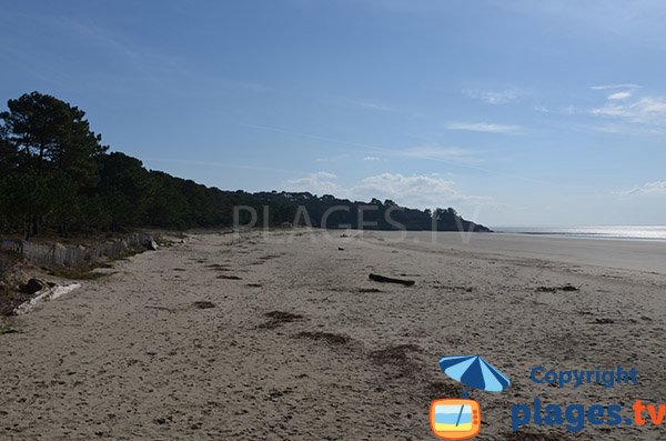 Plage de Suzac à marée basse - Meschers sur Gironde