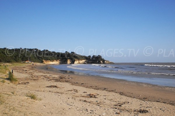 Photo de la plage de Suzac à Meschers sur Gironde