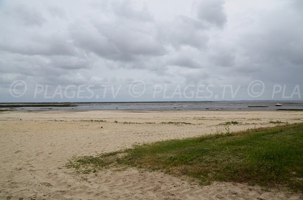 Plage de Suzette - Plage après le port de Cassy à Lanton