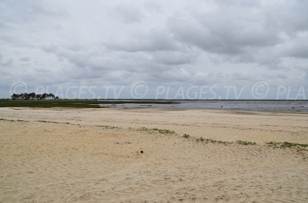 Plage peu connue sur le bassin d'Arcachon à Lanton