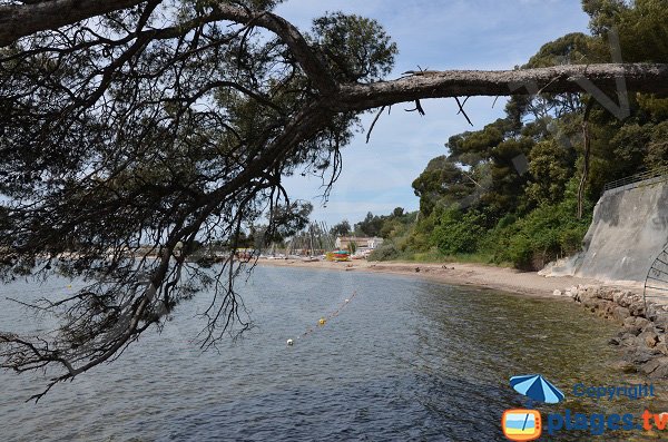 Anse de Tabarly depuis le sentier du littoral - Toulon