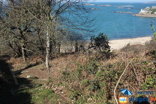 Photo of Tahiti beach in Carantec - Brittany