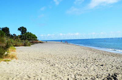 Plage de Talasani - Haute Corse