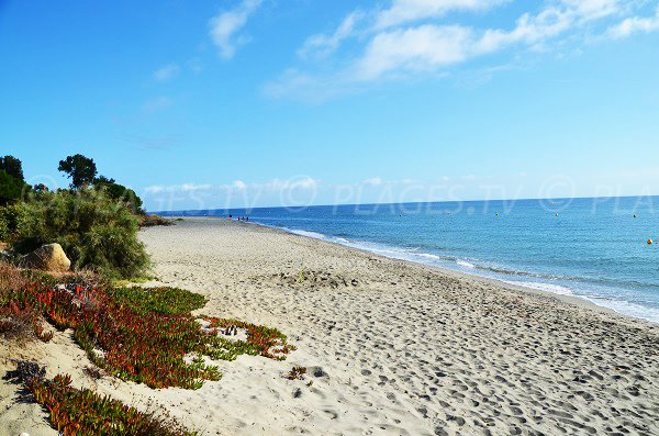 Uncrowded beach in Corsica on the Costa Verde